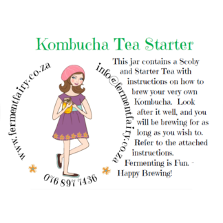 Kombucha Starter Scoby
